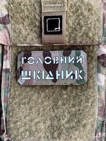 Шеврон &ldquo;Головний шкідник&rdquo; mc/gl 1290-3 фото