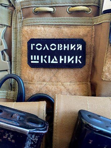 Шеврон &ldquo;Головний шкідник&rdquo; bk/gl 1290-2 фото